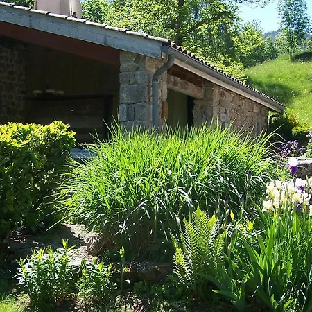 Domaine De Salomony
