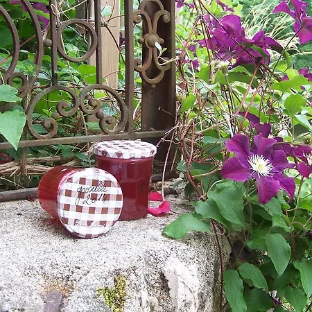 Casa vacanze Domaine De Salomony